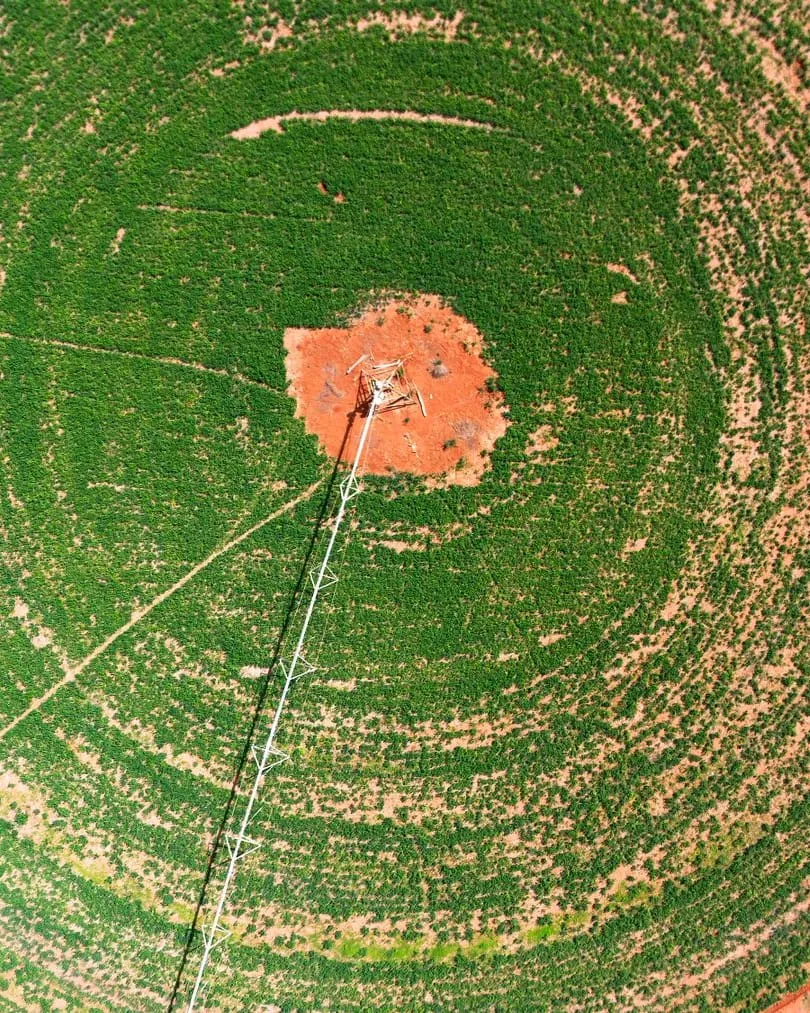 An irrigated crop field seen from above